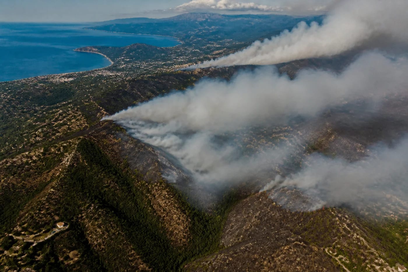 At least 12 dead as wildfires sweep through northern Algeria