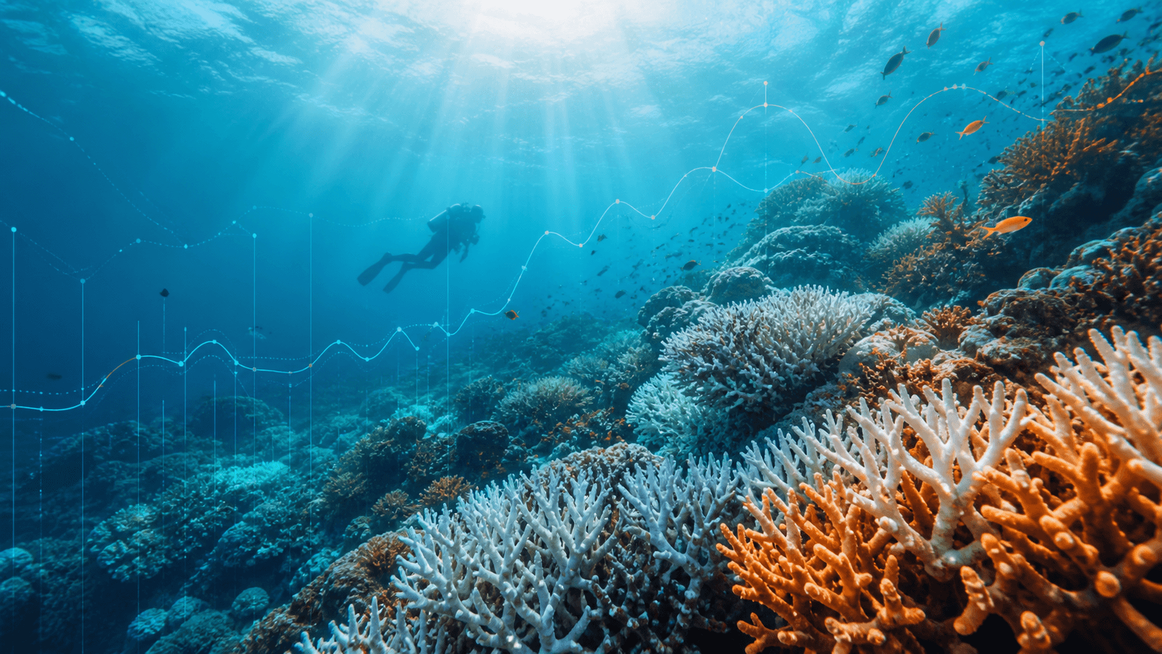 Global Coral Reefs Face Risk of Irreversible Decline